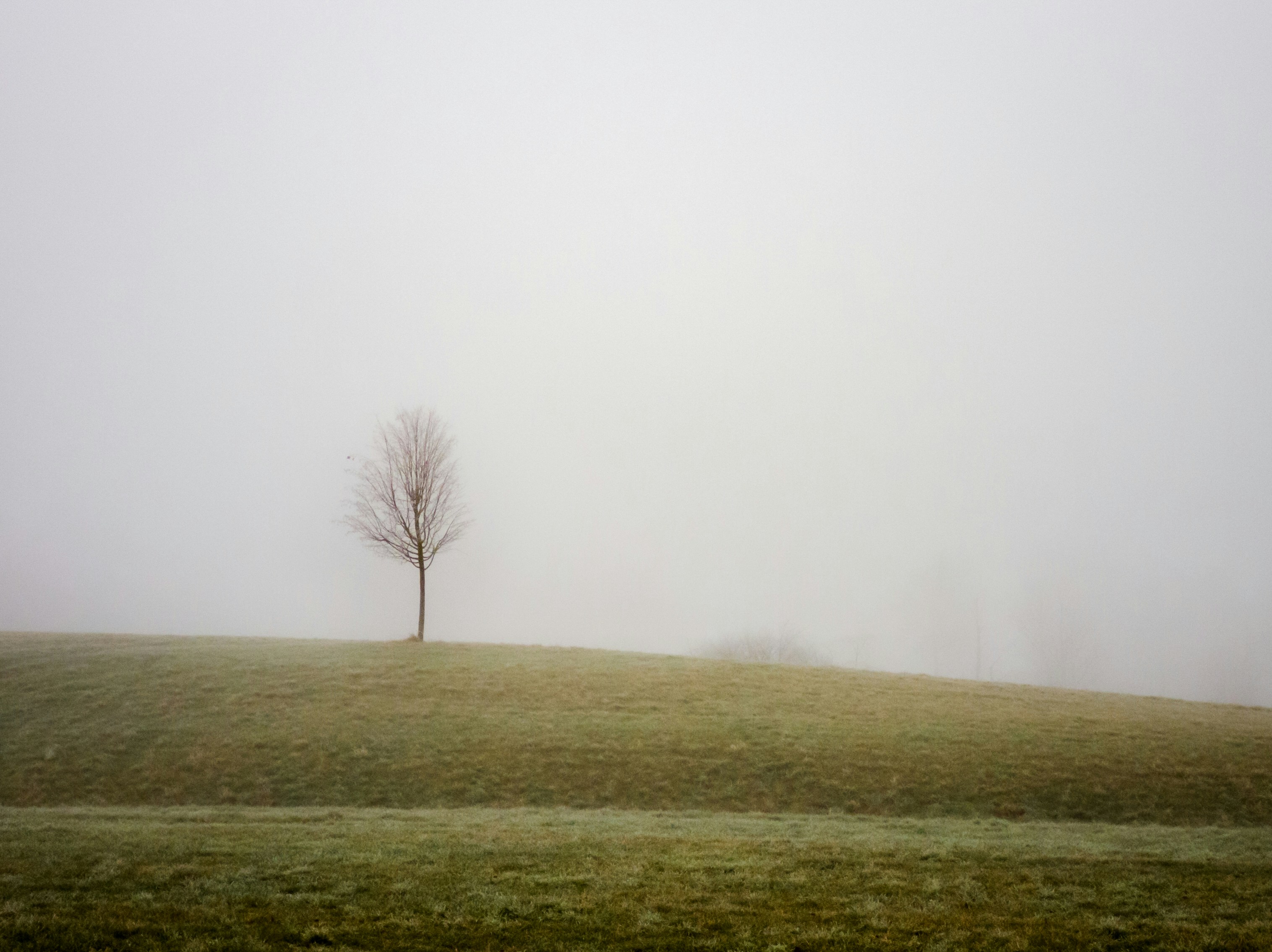 Photo by yvesmoret