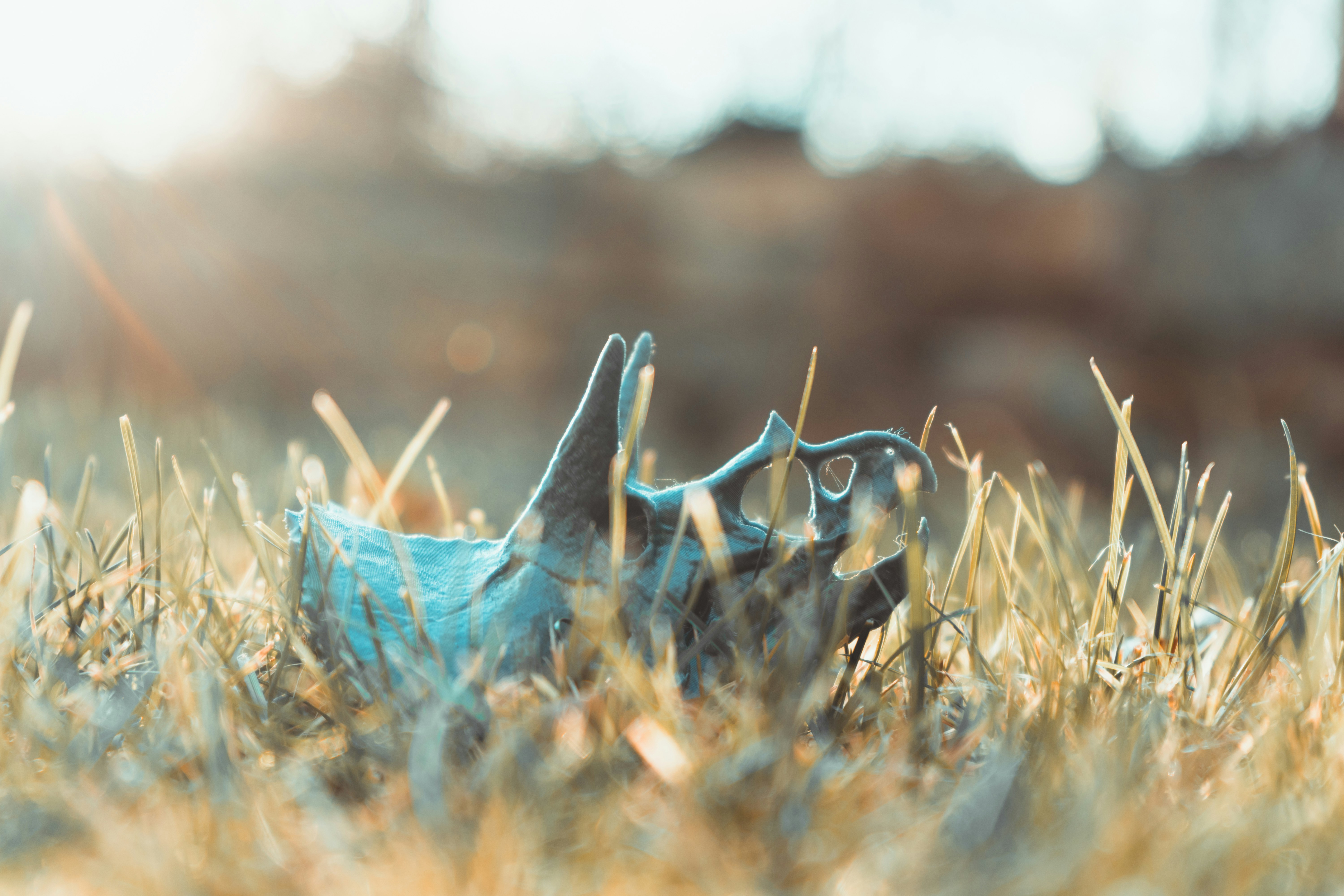 Photo by janik_clicks