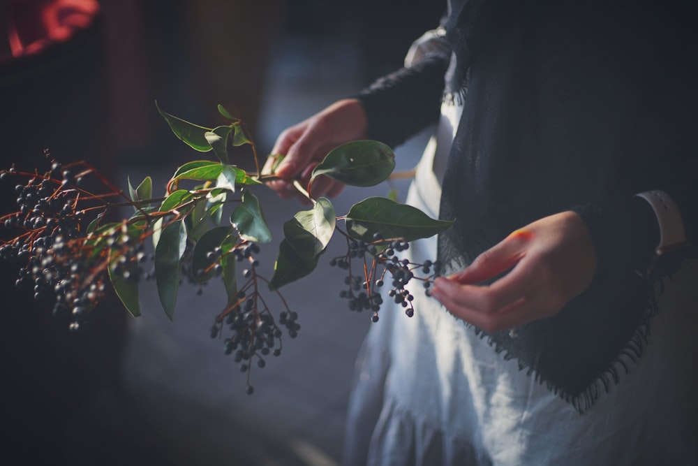 bunch of round black fruits