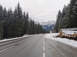 Close-up of towering evergreens lining a private driveway leading to a luxury ski lodge site.