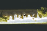 A close-up of a dessert with intricate decoration and presentation.