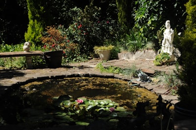 Teichbau
