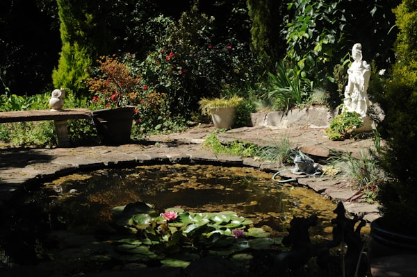 Teichbau