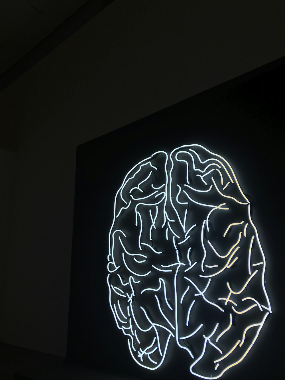 brain LED artwork