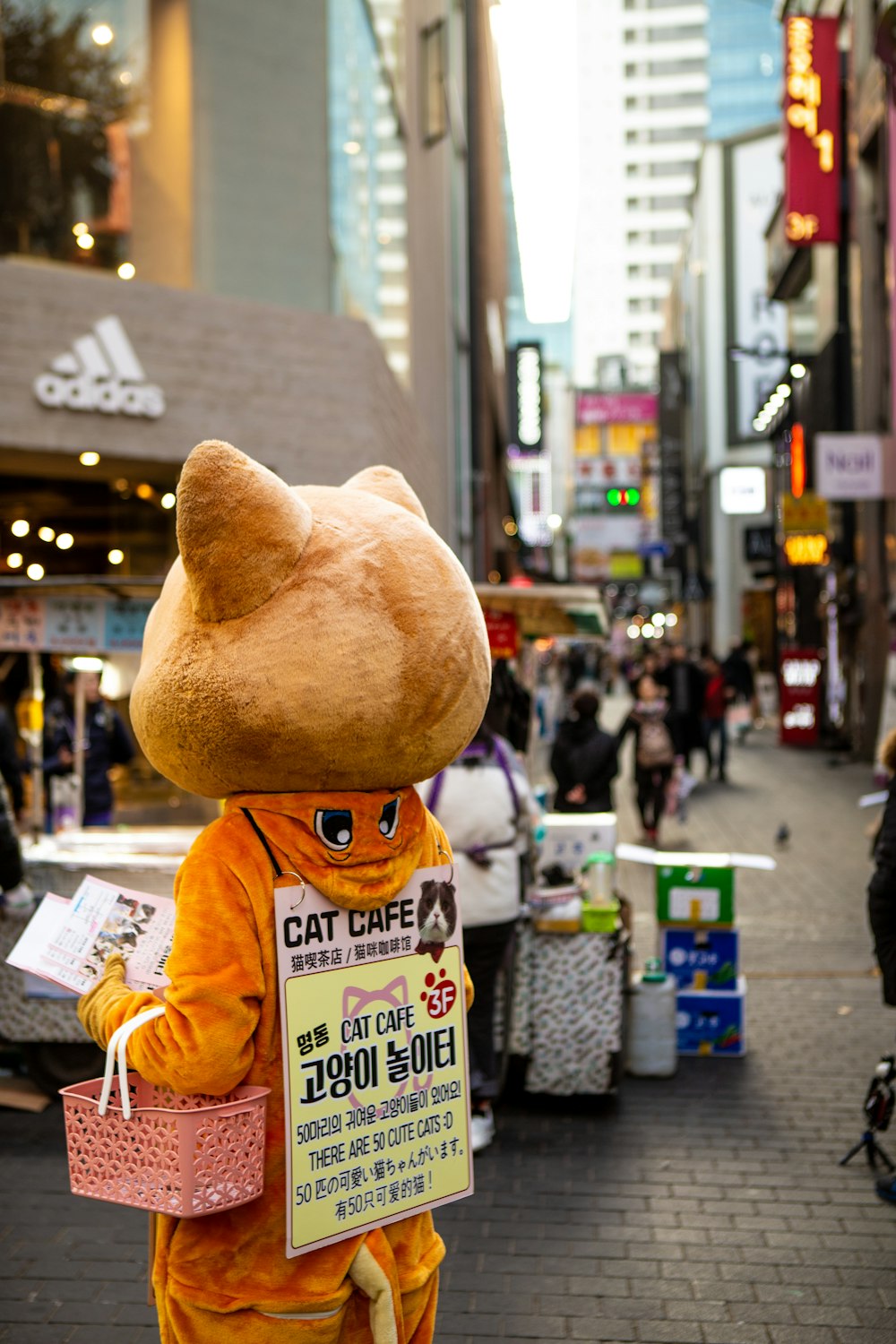 Mascotte de chat brun