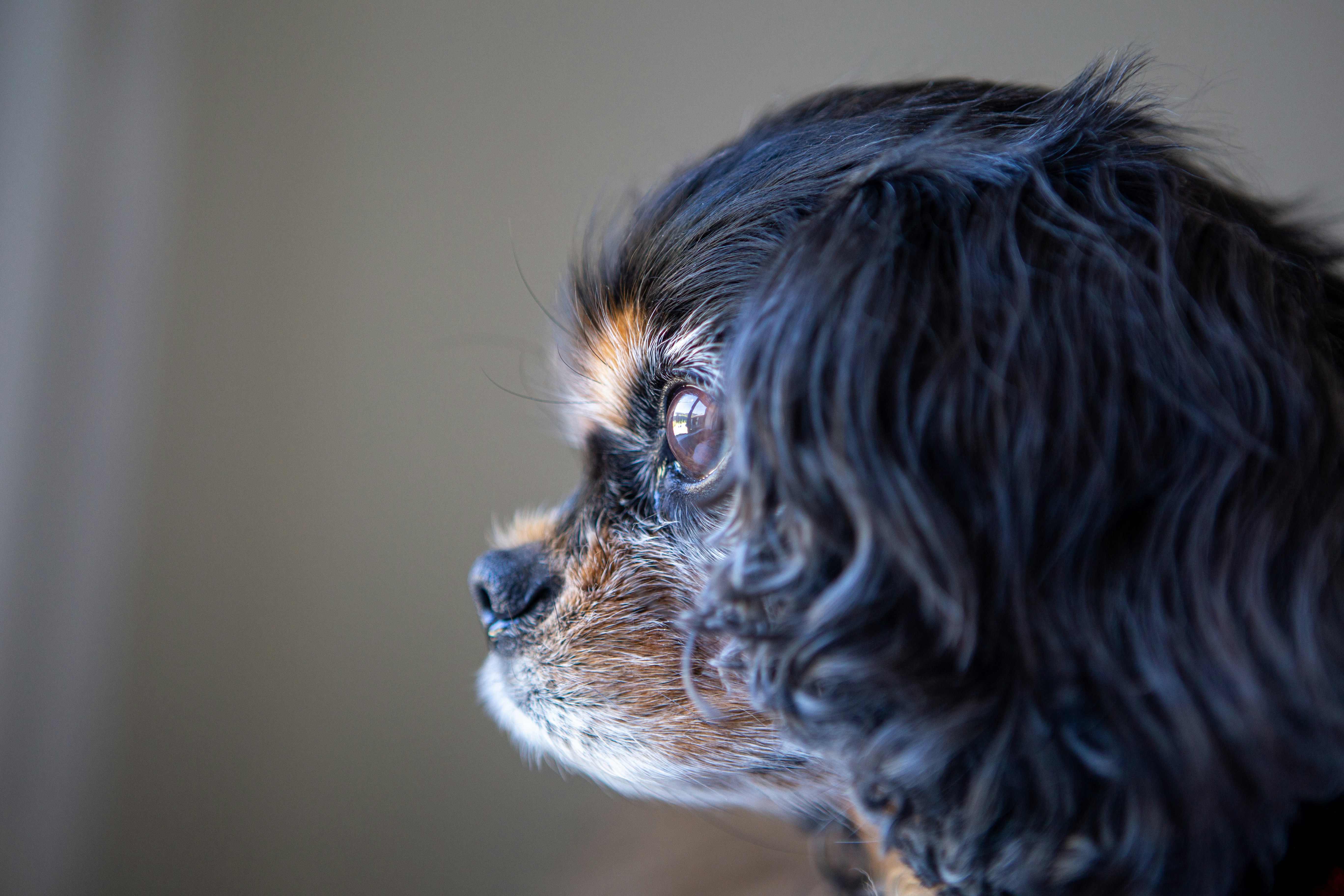 Photo by mrmarkdejong