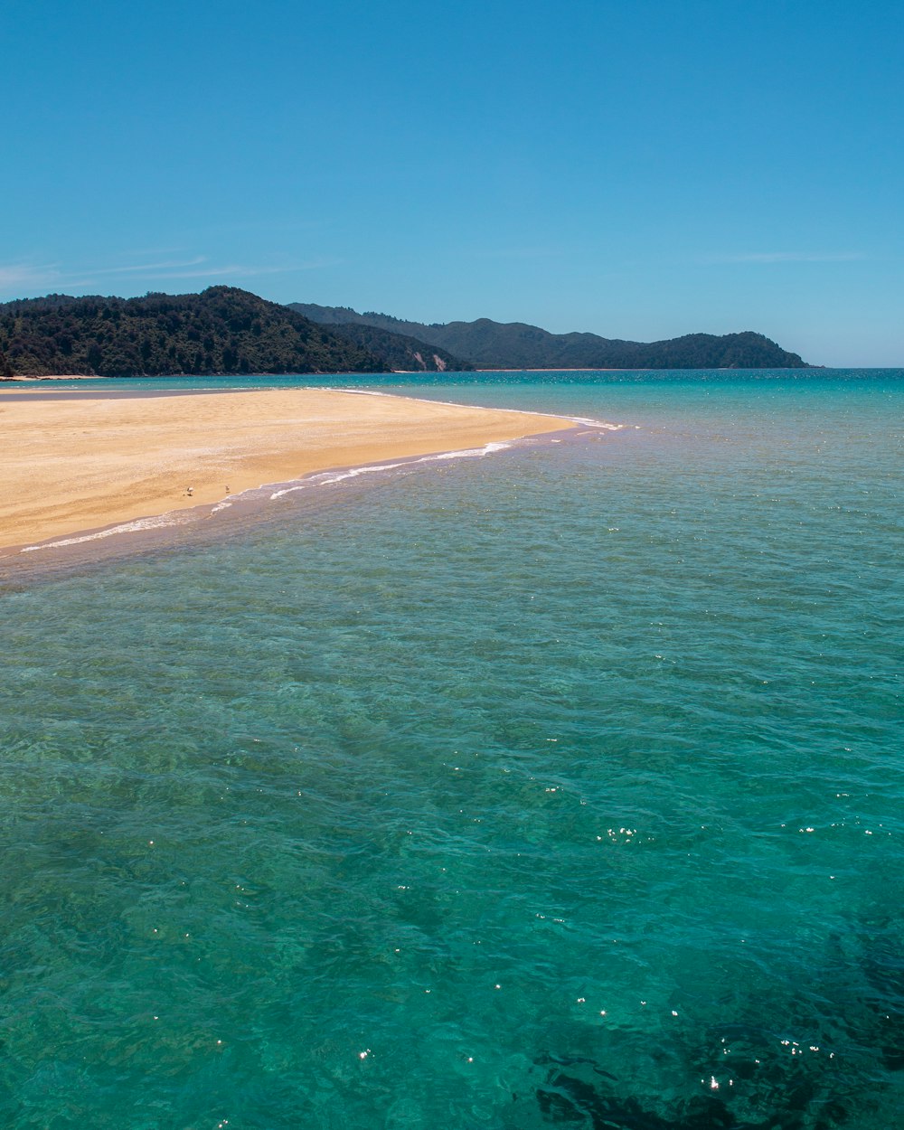 green water on seashore