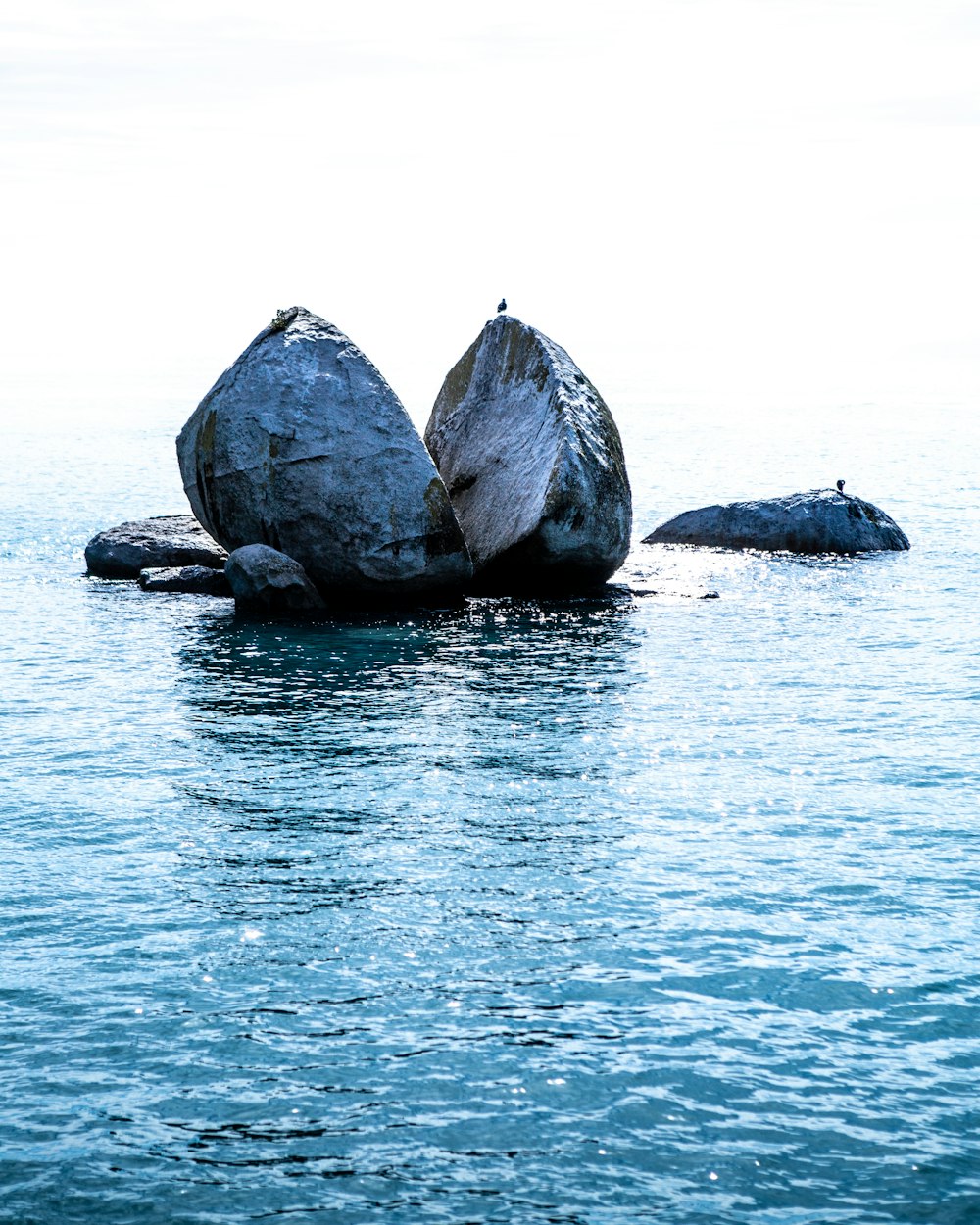 水上の灰色の岩