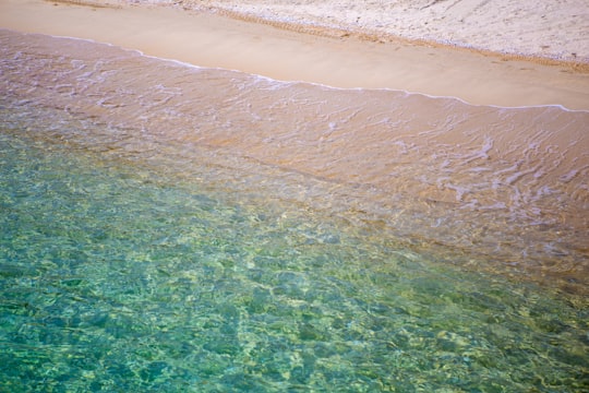 clear water at seashore in Abel Tasman National Park New Zealand