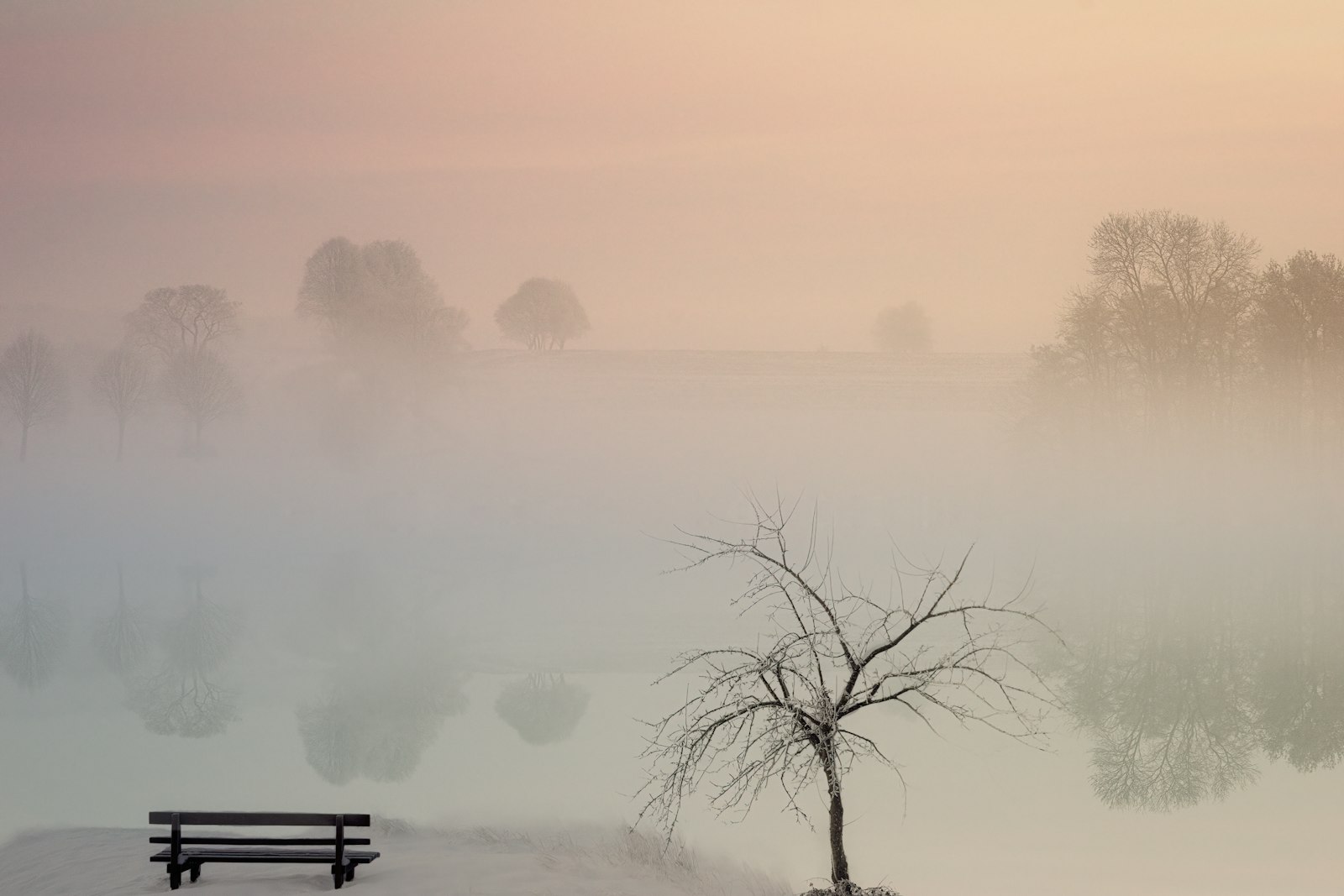 Sony a7 + Tamron 18-270mm F3.5-6.3 Di II PZD sample photo. Bare tree beside empty photography