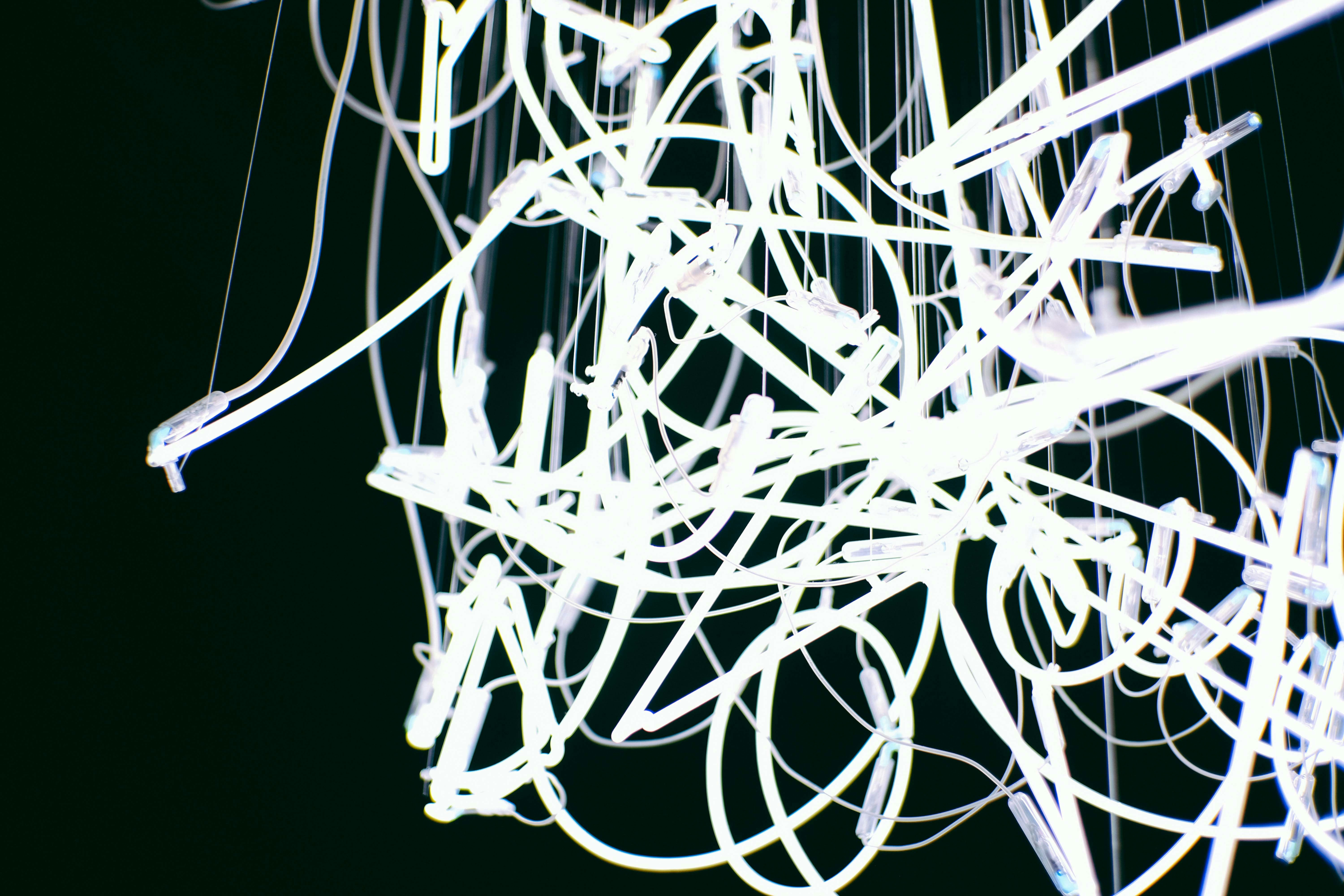 Photo by francesco_ungaro