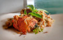Close-up of a golden crispy plant-based dish fresh out of the air fryer.