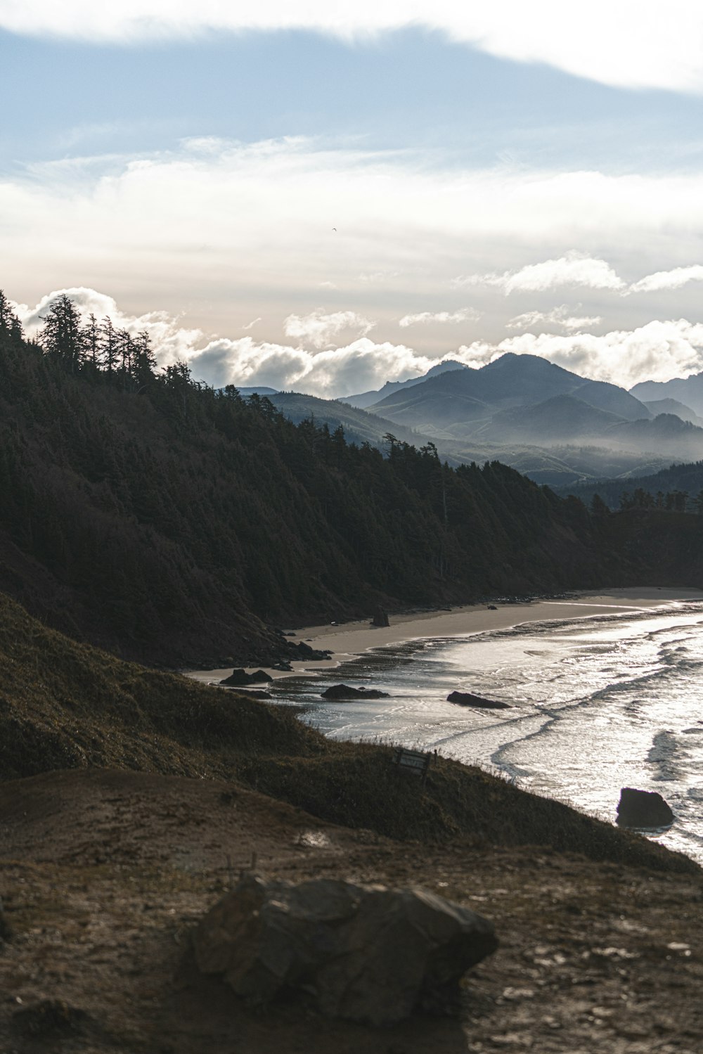 trees and mountain island during day