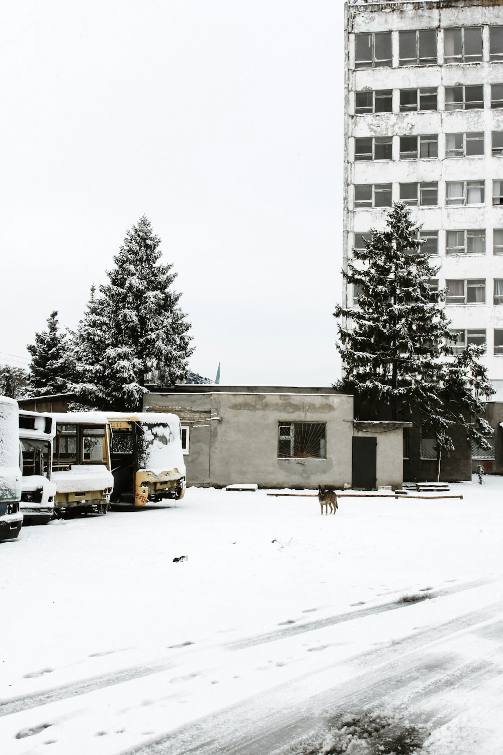 edifícios e autocarros durante o inverno