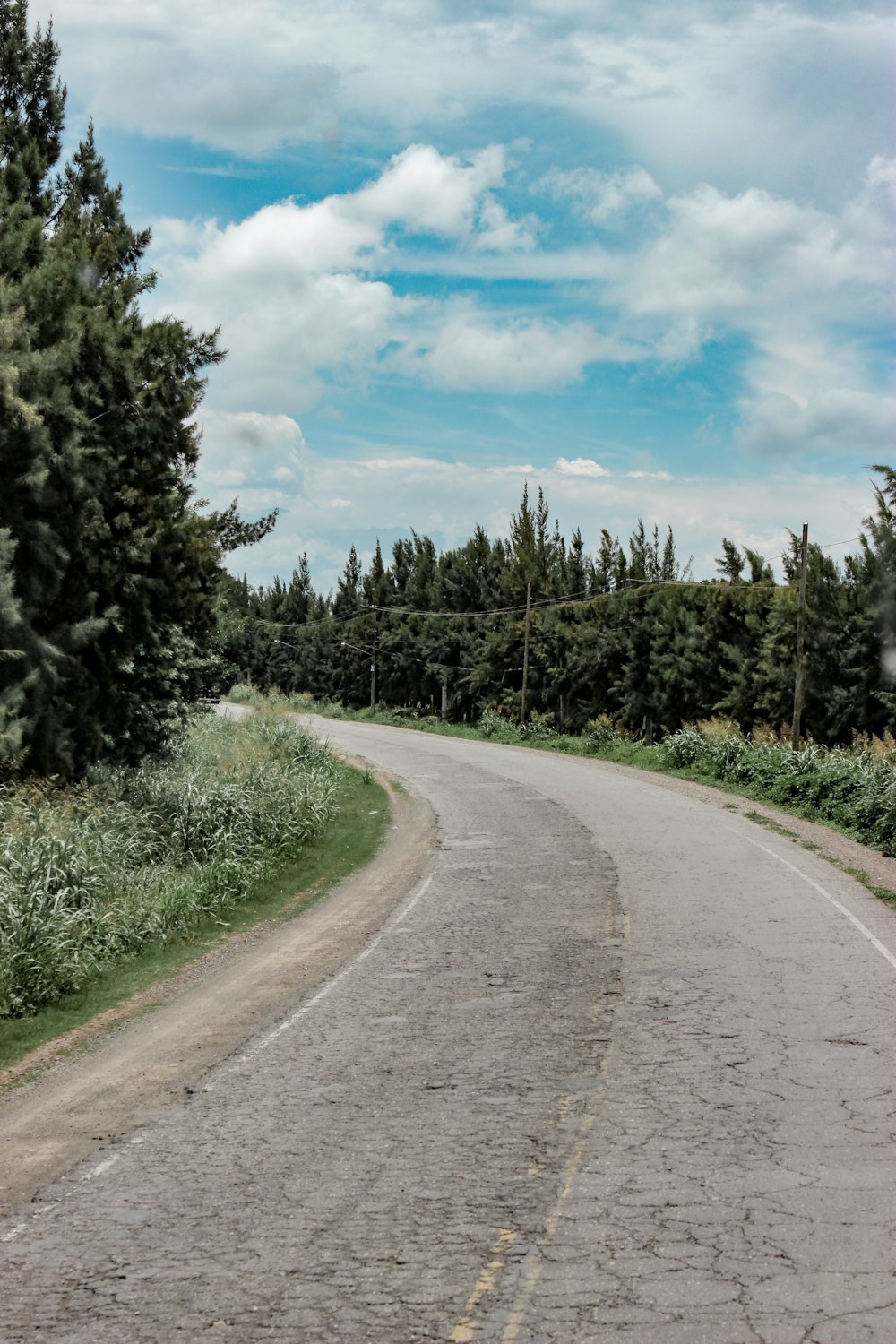 concrete road near grass field