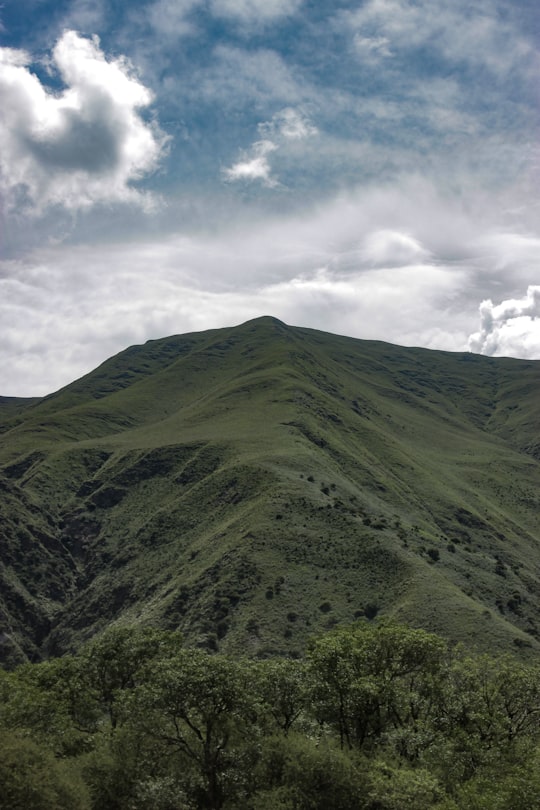 green grass field in Jujuy Argentina