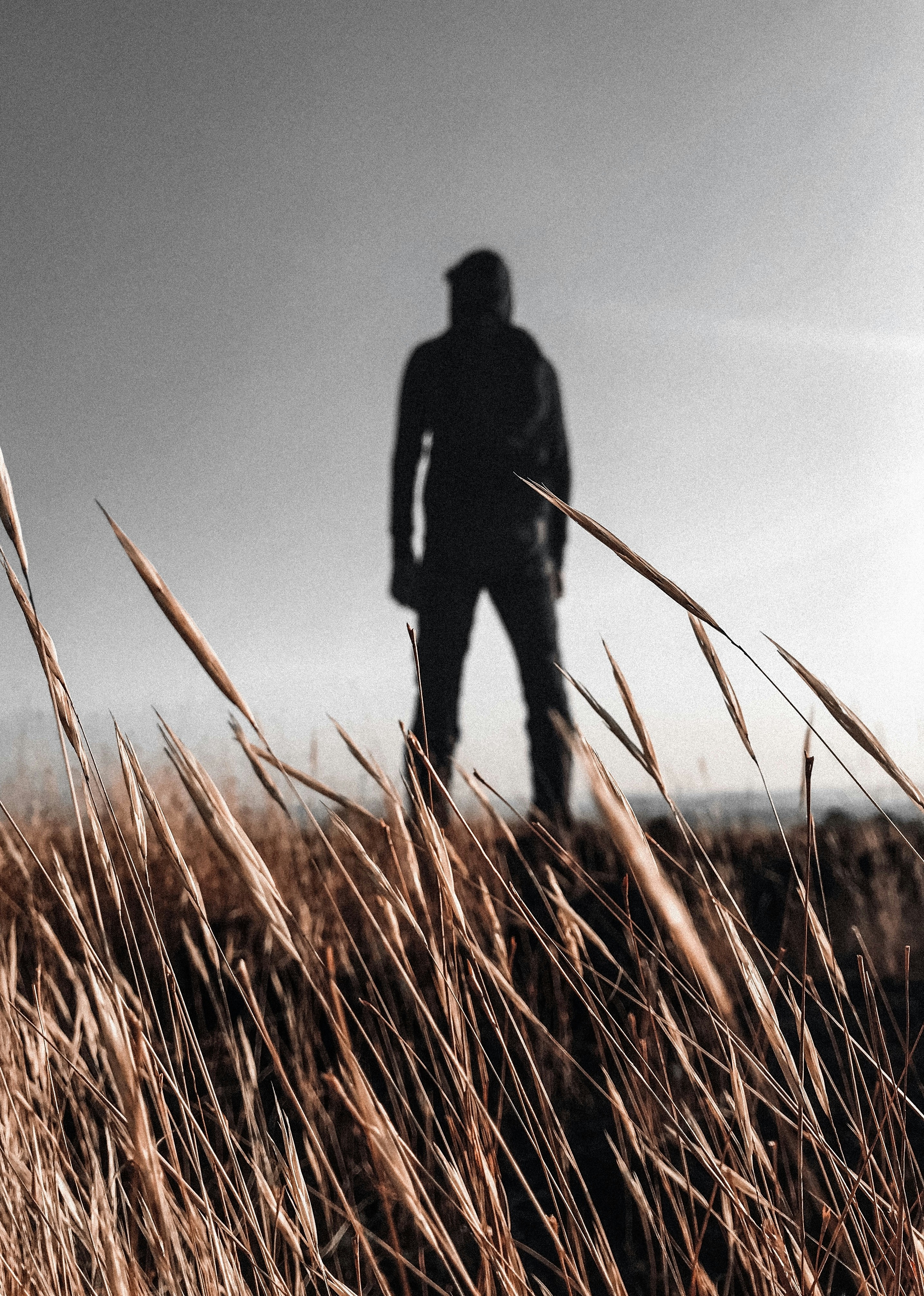 Photo by faheemshafi