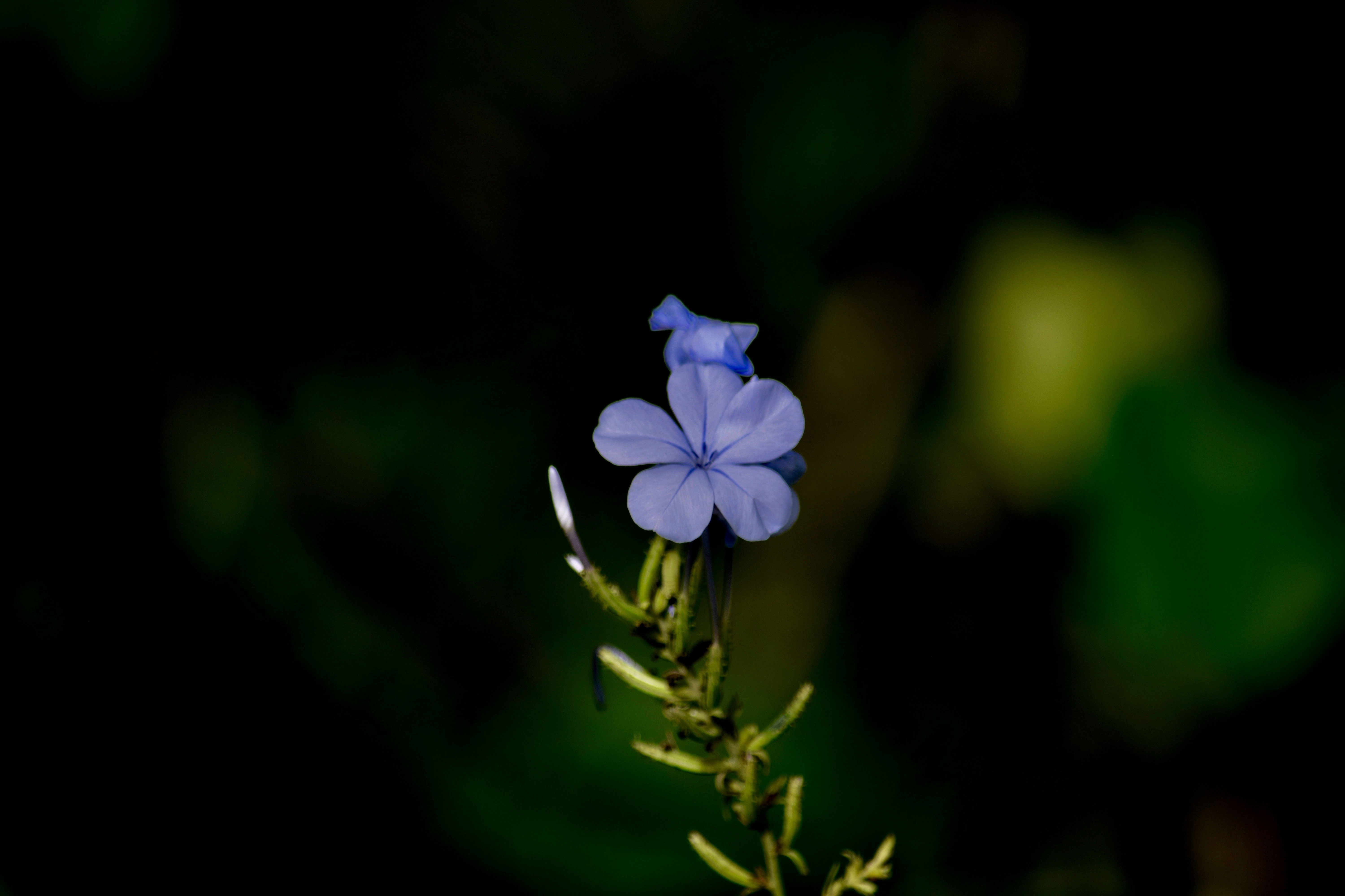 Photo by rrajputphotography