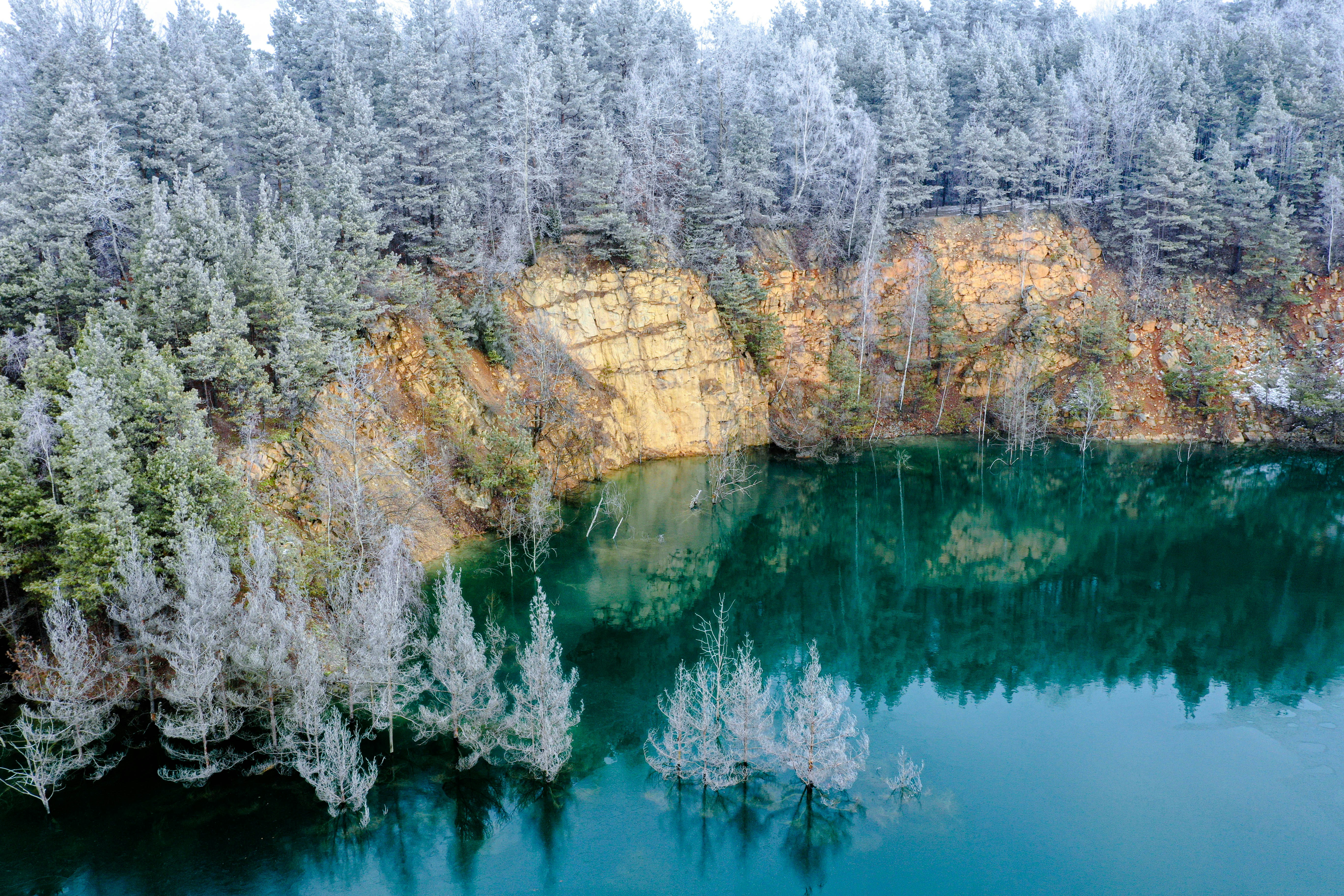 landscape photography of cliff and trees near body of water during daytime