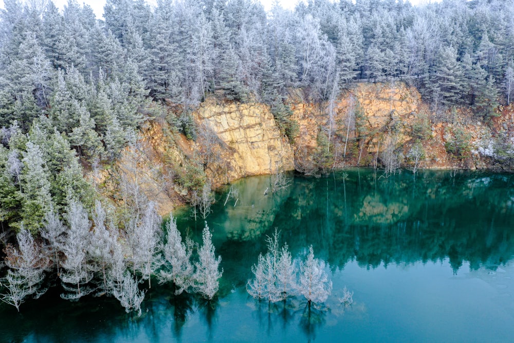 landscape photography of cliff and trees near body of water during daytime