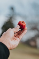 red fruit