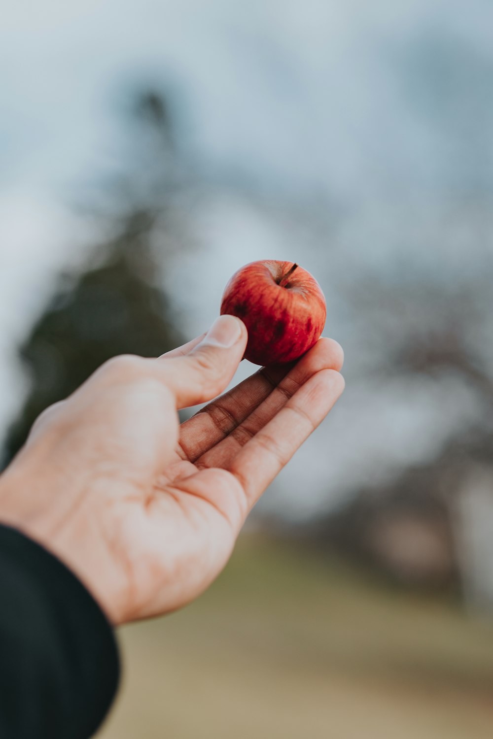 red fruit