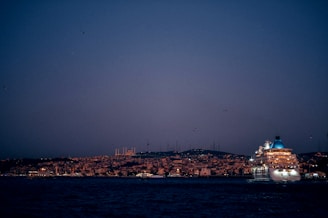 A large cruise ship with bright lights sails along a vast body of water during the twilight hours. In the background, a densely built urban skyline stretches across a hilly landscape with a myriad of scattered lights. The sky is a deep blue, hinting at either dawn or dusk, and a few birds are visible flying across.