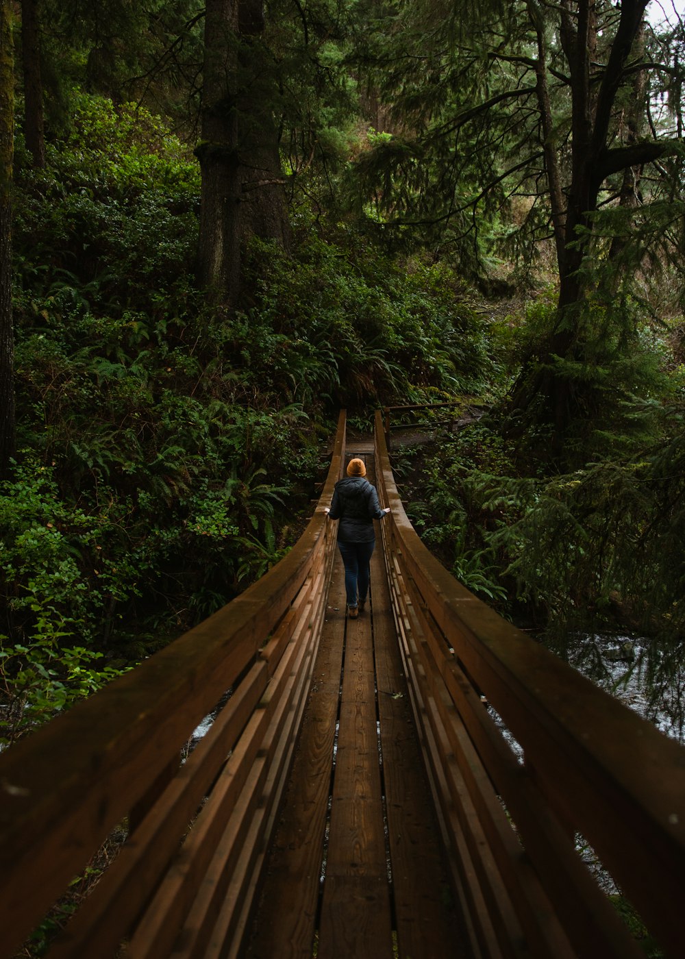 person walking in the middle of the bridge near trees at daytime