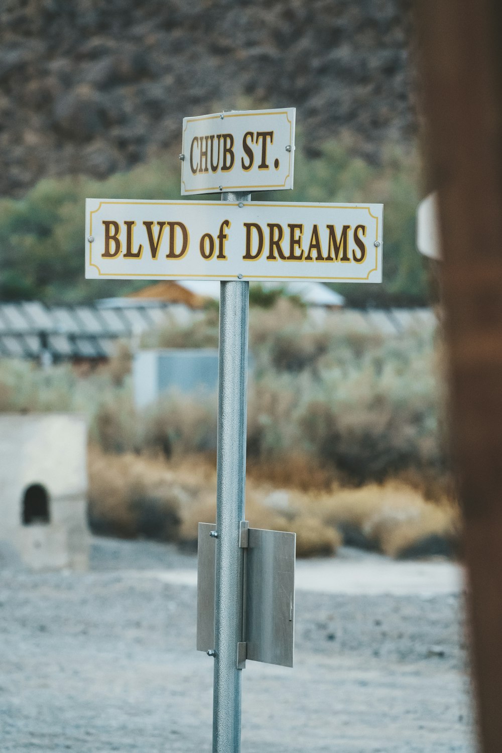 Chub St.와 Blvd of Dreams 도로 표지판의 선택적 초점 사진