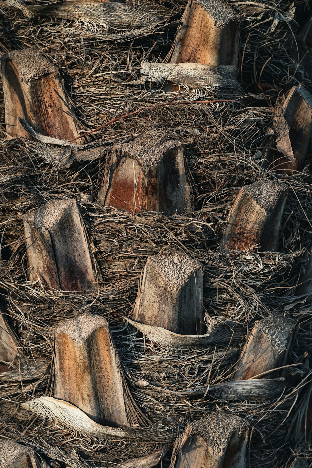 a pile of wood that has been cut down