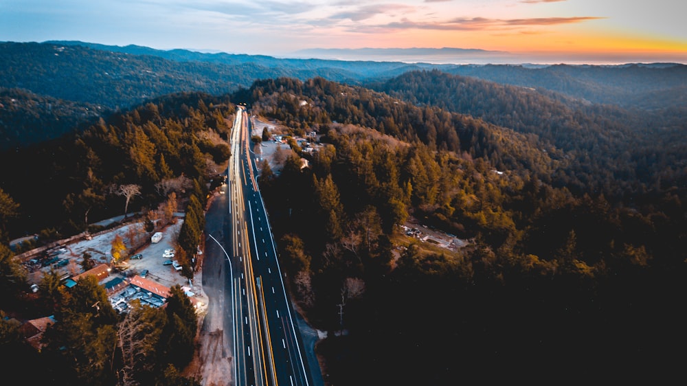 bird's eye photography of road near trees