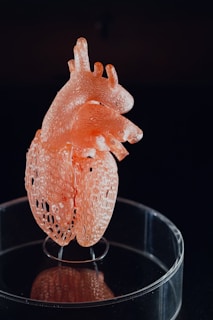 A detailed 3D printed model of a human heart with intricate, lattice-like patterns is displayed on a transparent circular stand. The heart is primarily light orange in color, situated against a dark background, which highlights its features and structure.