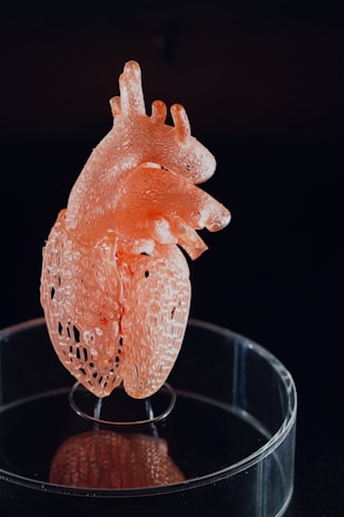A detailed 3D printed model of a human heart with intricate, lattice-like patterns is displayed on a transparent circular stand. The heart is primarily light orange in color, situated against a dark background, which highlights its features and structure.