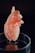A detailed 3D printed model of a human heart with intricate, lattice-like patterns is displayed on a transparent circular stand. The heart is primarily light orange in color, situated against a dark background, which highlights its features and structure.