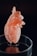 A detailed 3D printed model of a human heart with intricate, lattice-like patterns is displayed on a transparent circular stand. The heart is primarily light orange in color, situated against a dark background, which highlights its features and structure.