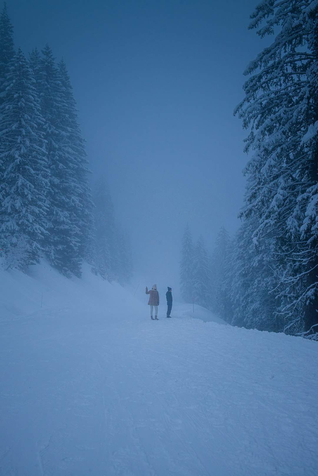 snowy field photograph