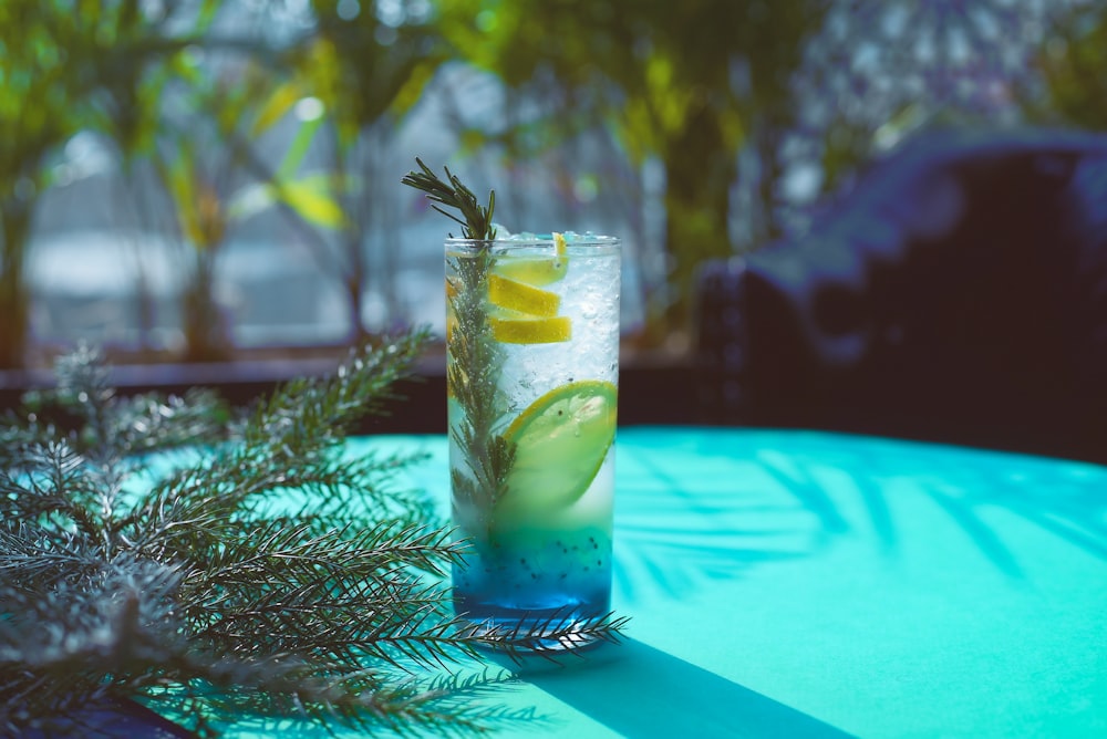 leaf and fruit slices and beverage and iced filled drinking glass