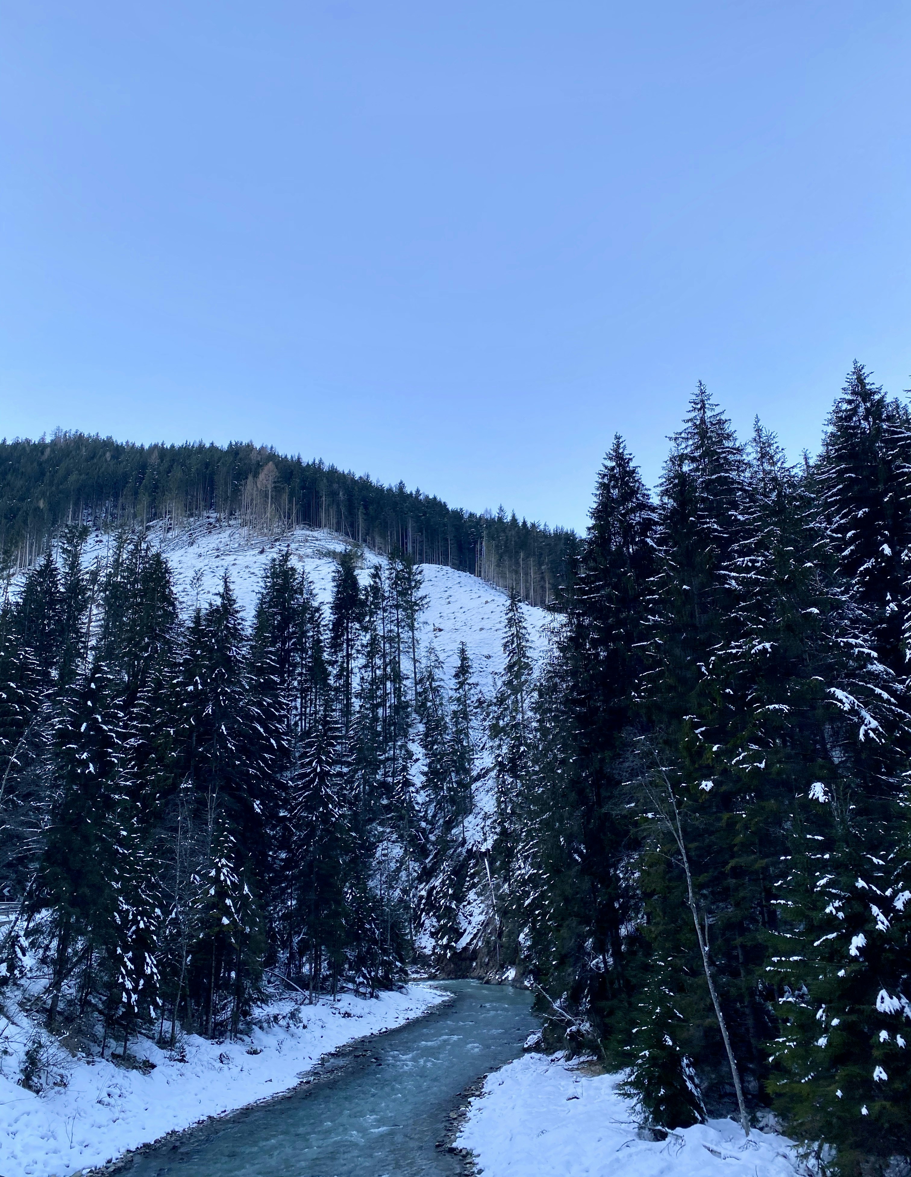 Photo by cecilia_gremmo