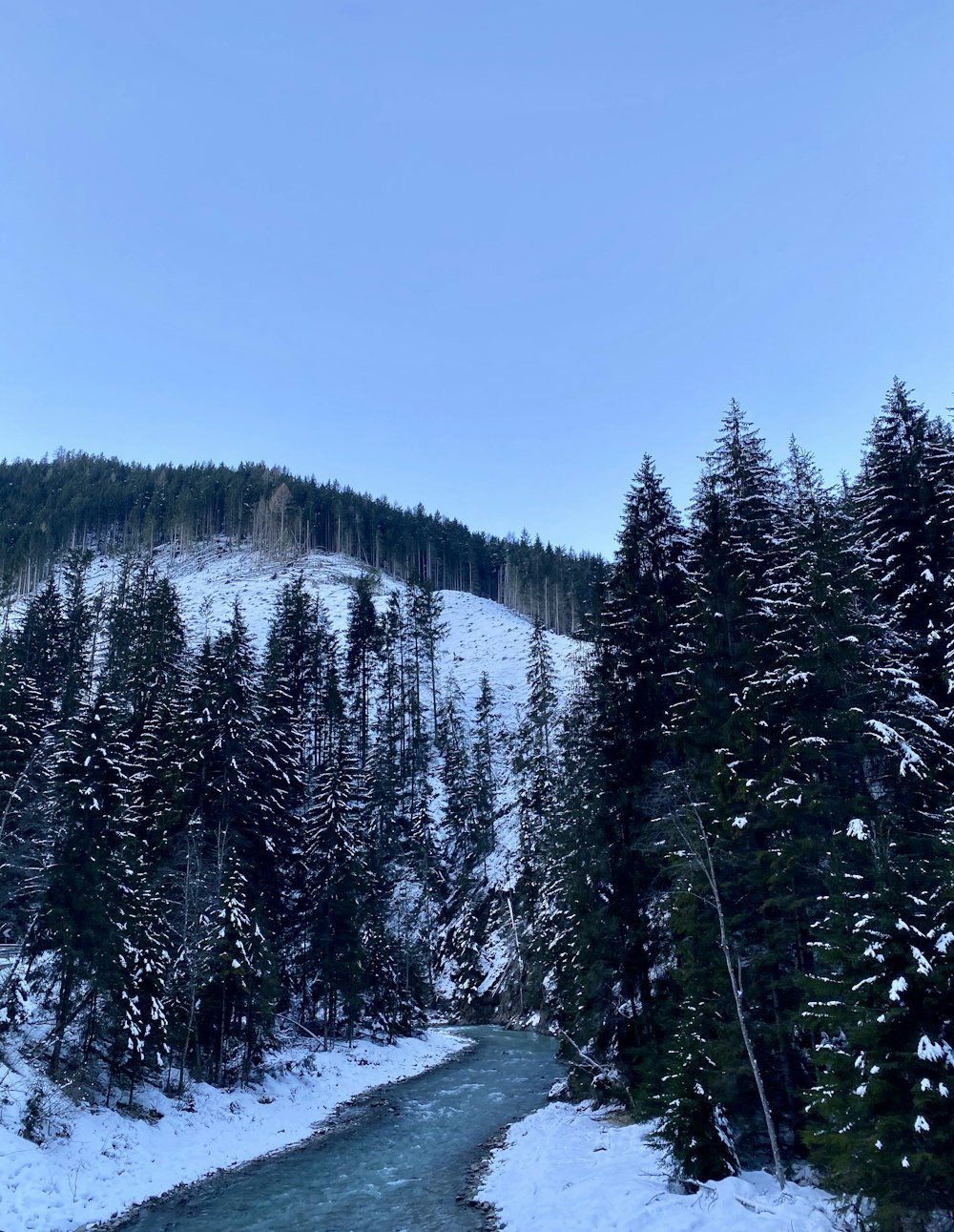 river, snowfield, and trees