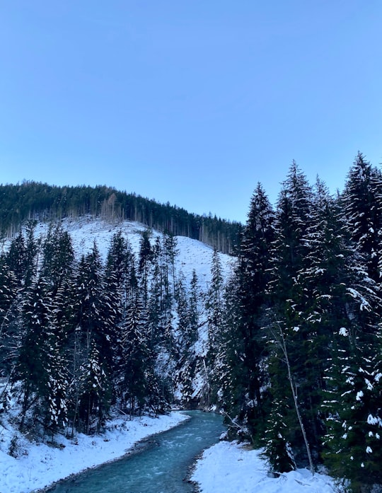 river, snowfield, and trees in Kronplatz Italy