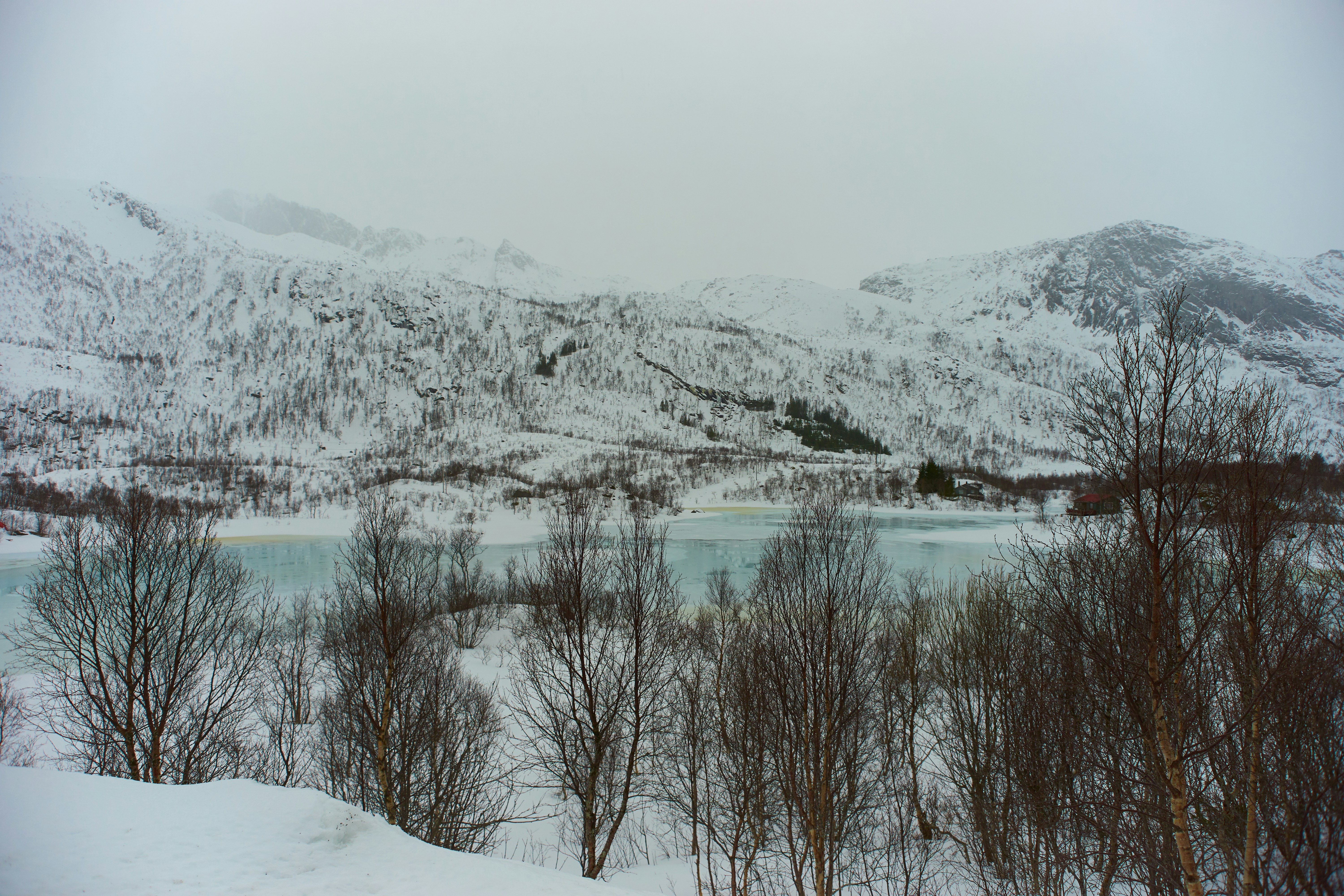 Photo by wolfgang_hasselmann