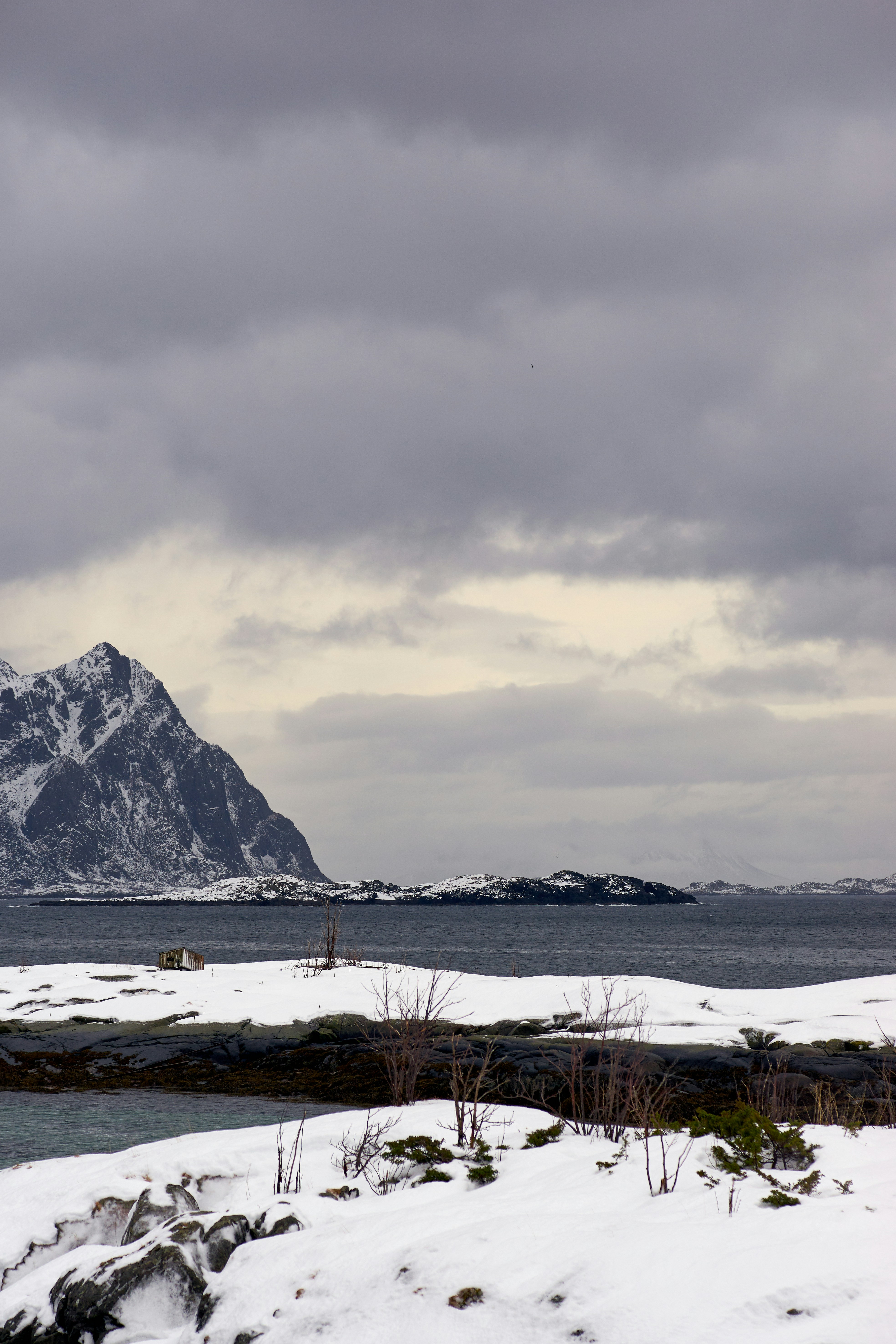 Photo by wolfgang_hasselmann