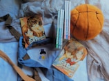 A collection of manga volumes titled 'Full Bloom Cheekiness' is arranged alongside a plush basketball. A few ties in shades of blue and brown are artfully placed. There is a sticker depicting a person reading a book nearby.