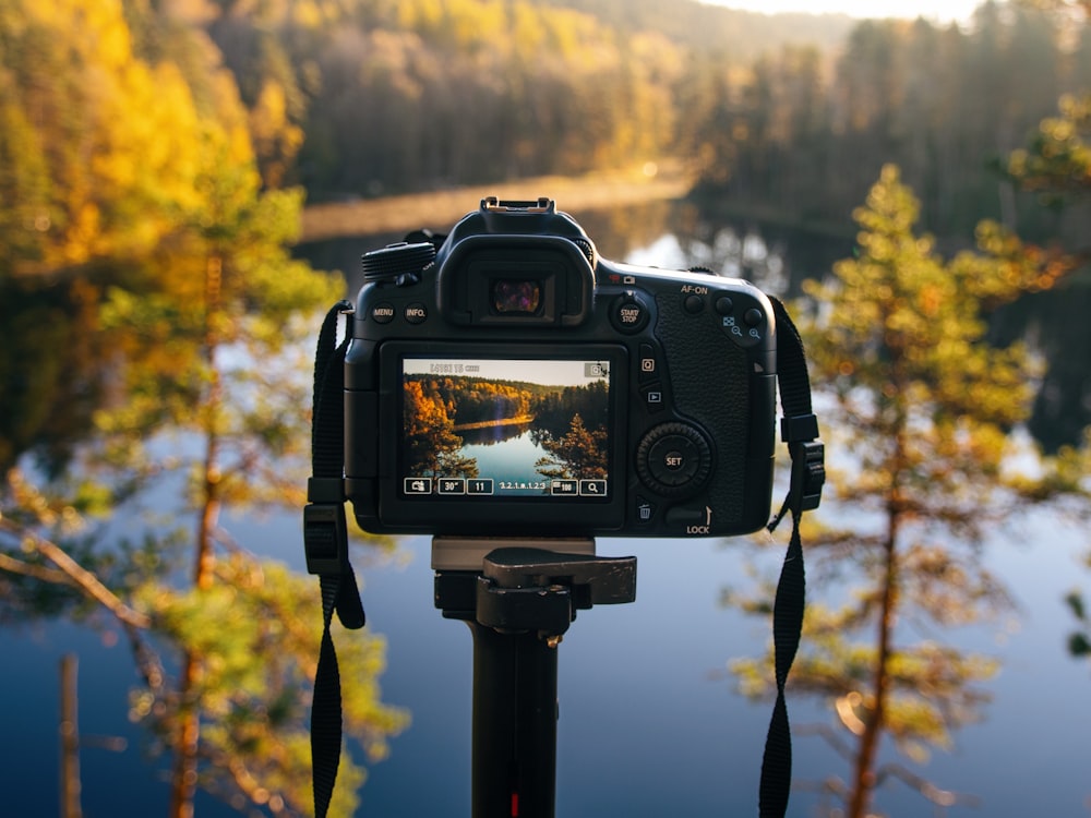 camera viewing body of water and trees during day