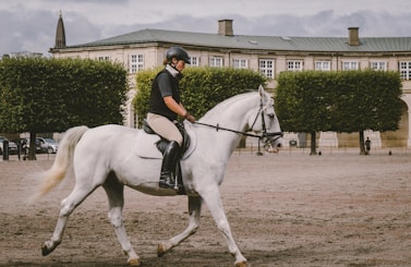 equestrian on field near building at daytime