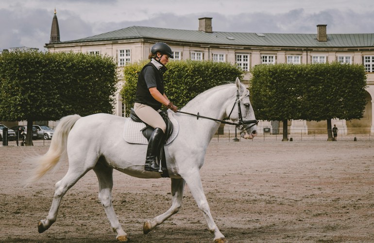 An elegant rider on a white horse at a country estate
