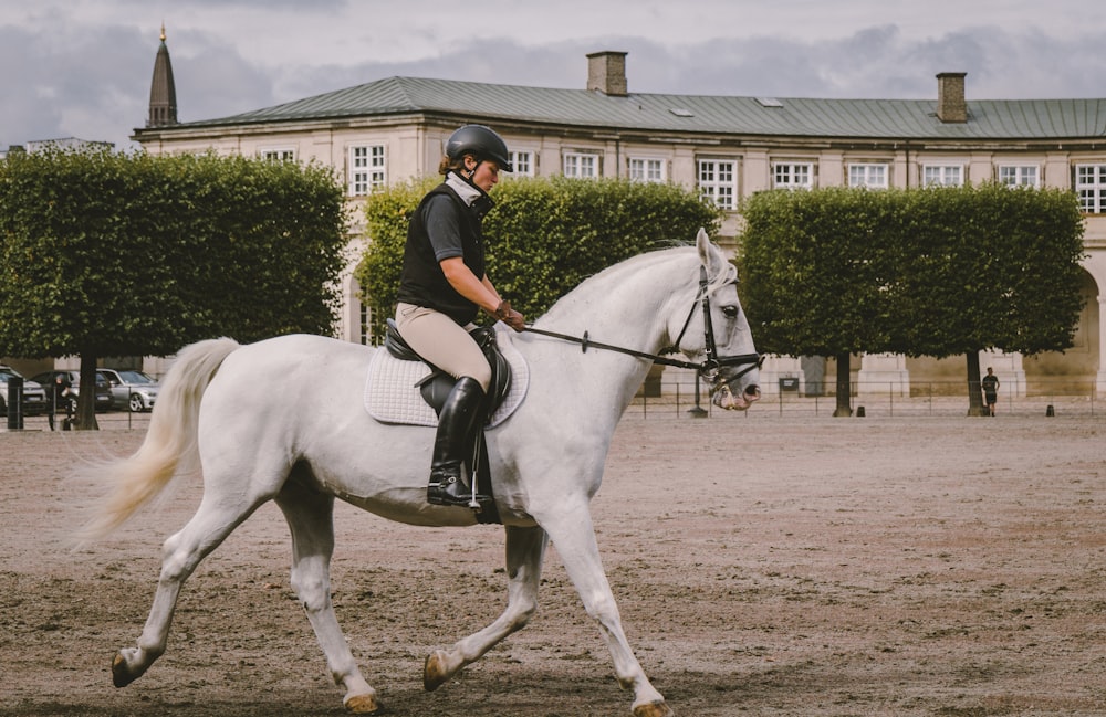 equestrian on field near building at daytime