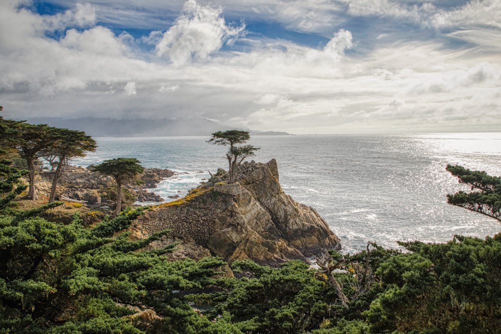 trees and rocky island during day