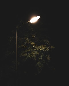 Powerful Flood Light