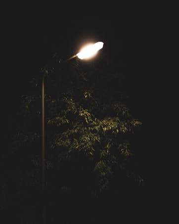 A bright street lamp illuminates a dark scene, with the light casting a glow on nearby green foliage. The surrounding area is mostly dark, creating a stark contrast between the illuminated and shaded areas.